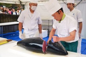 近大生まれのマグロ解体ショー